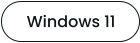Windows 11