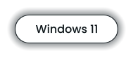 Windows 11