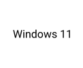Windows 11
